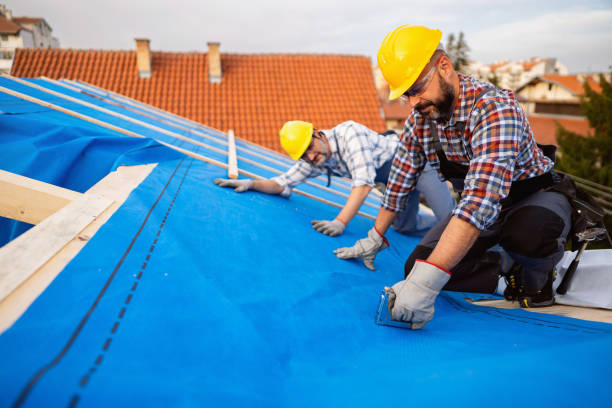 Best Roof Coating and Sealing  in Long Branch, VA