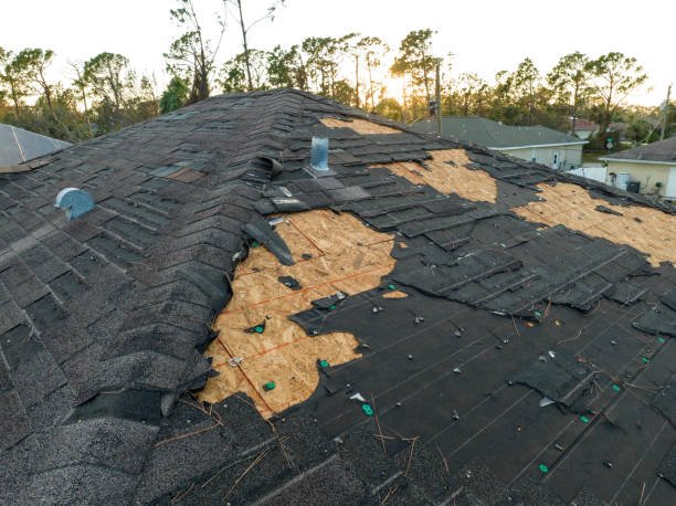 Best Storm Damage Roof Repair  in Long Branch, VA